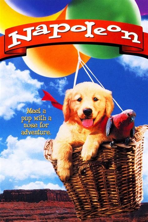 Download file Napoleon.1995.1080p.WEBRip.x264.